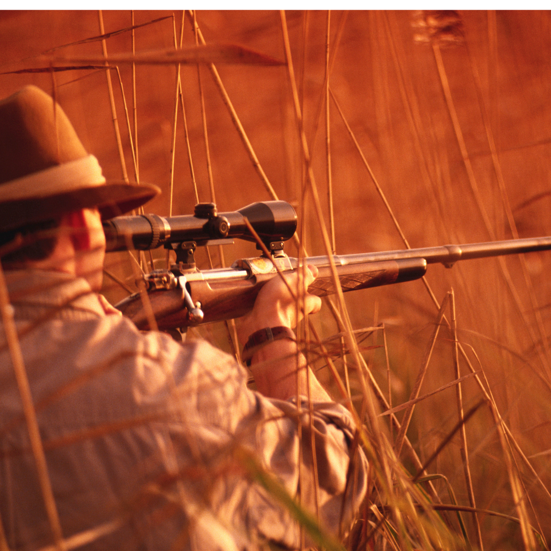 How to Choose the Right Hunting Rifle for You A Comprehensive Guide